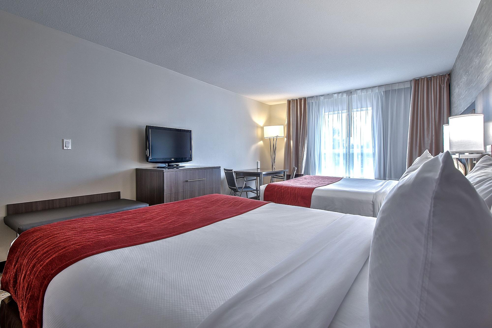 Comfort & South Hotel 3*