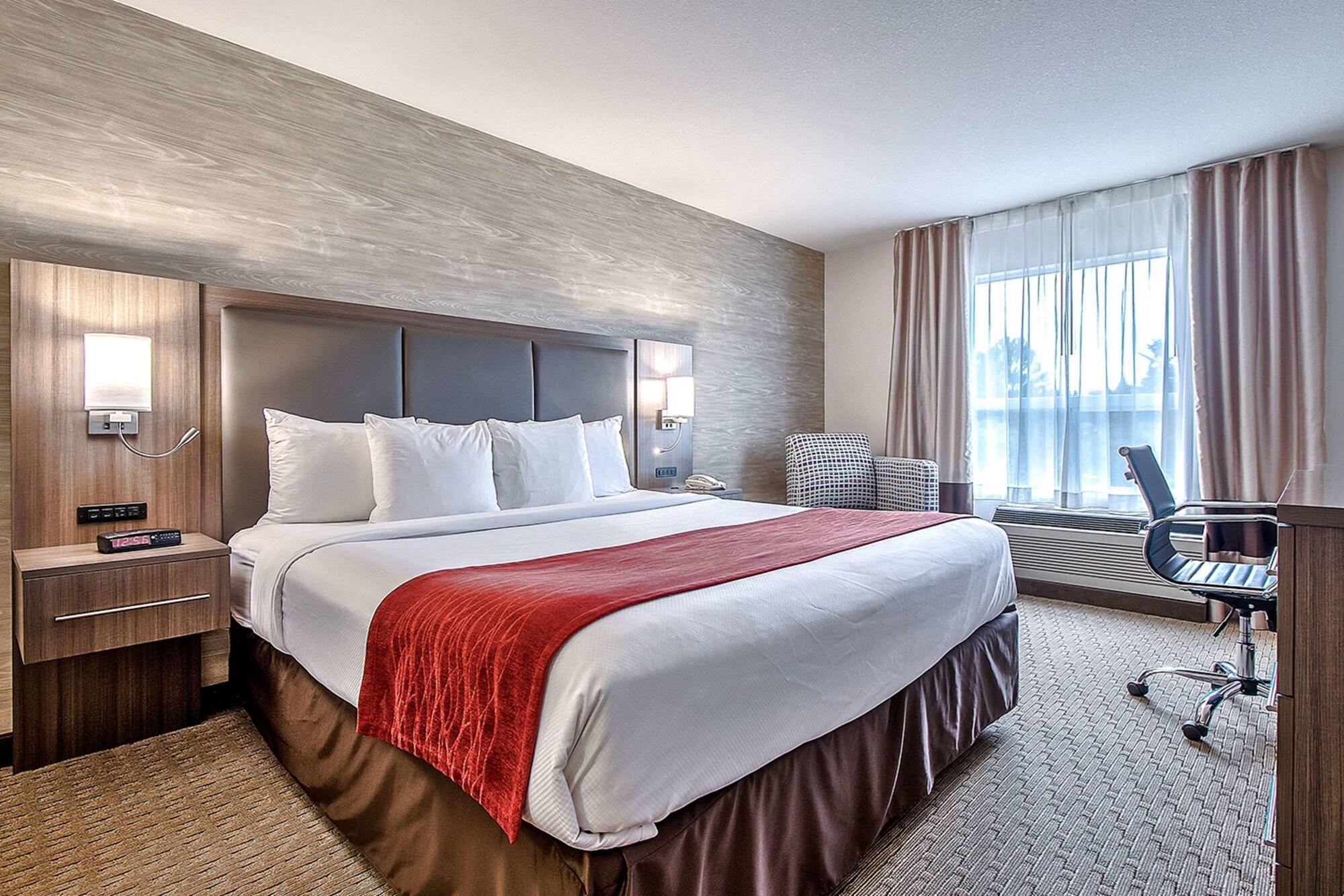 Hotel Comfort & South