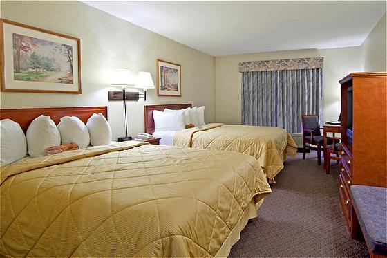 Comfort & South Hotel