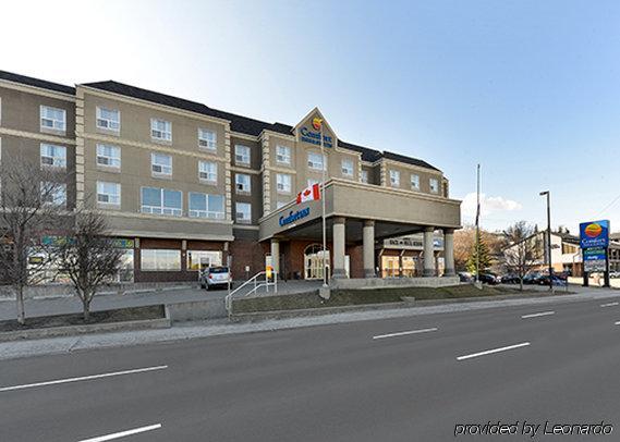 Hotel Comfort & South Calgary