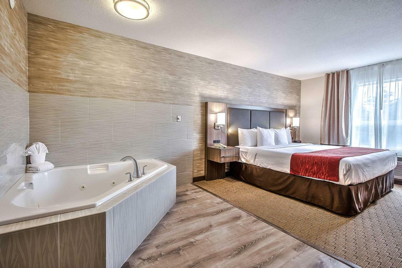 Comfort & South Calgary