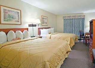 Comfort & South 3*
